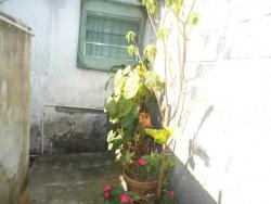 Casa para Venda em São Paulo - 3