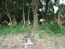 Terreno para Venda em São Paulo - 5