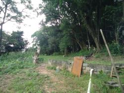 Terreno para Venda em São Paulo - 4