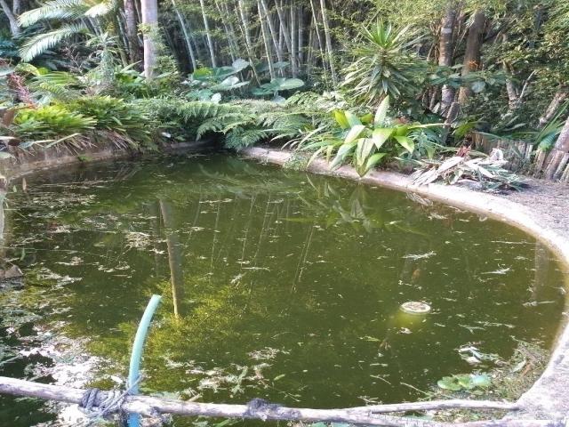 Chácara para Venda em Novo Hamburgo - 4