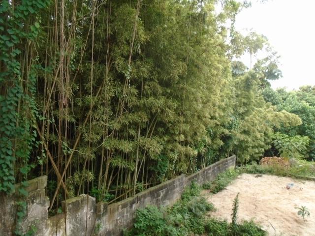 #4415 - Terreno para Venda em São Paulo - SP - 3