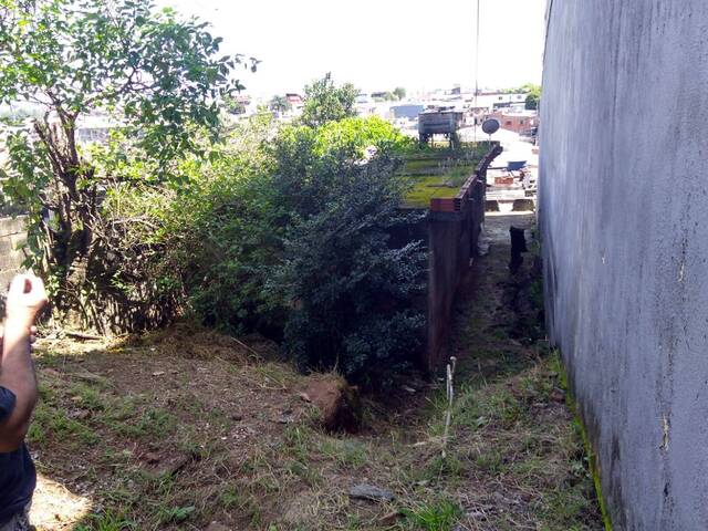 Área para Venda em São Paulo - 4