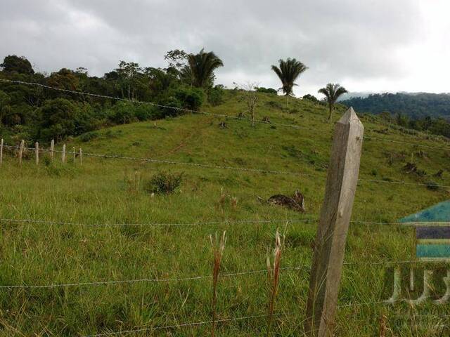 Sítio para Venda em São Paulo - 5