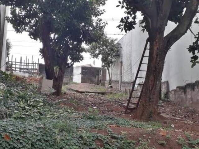 Área para Venda em São Paulo - 4