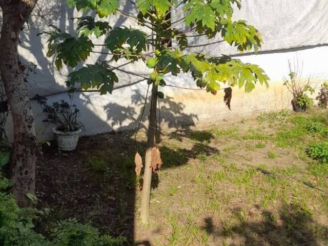 Casa para Venda em São Paulo - 4